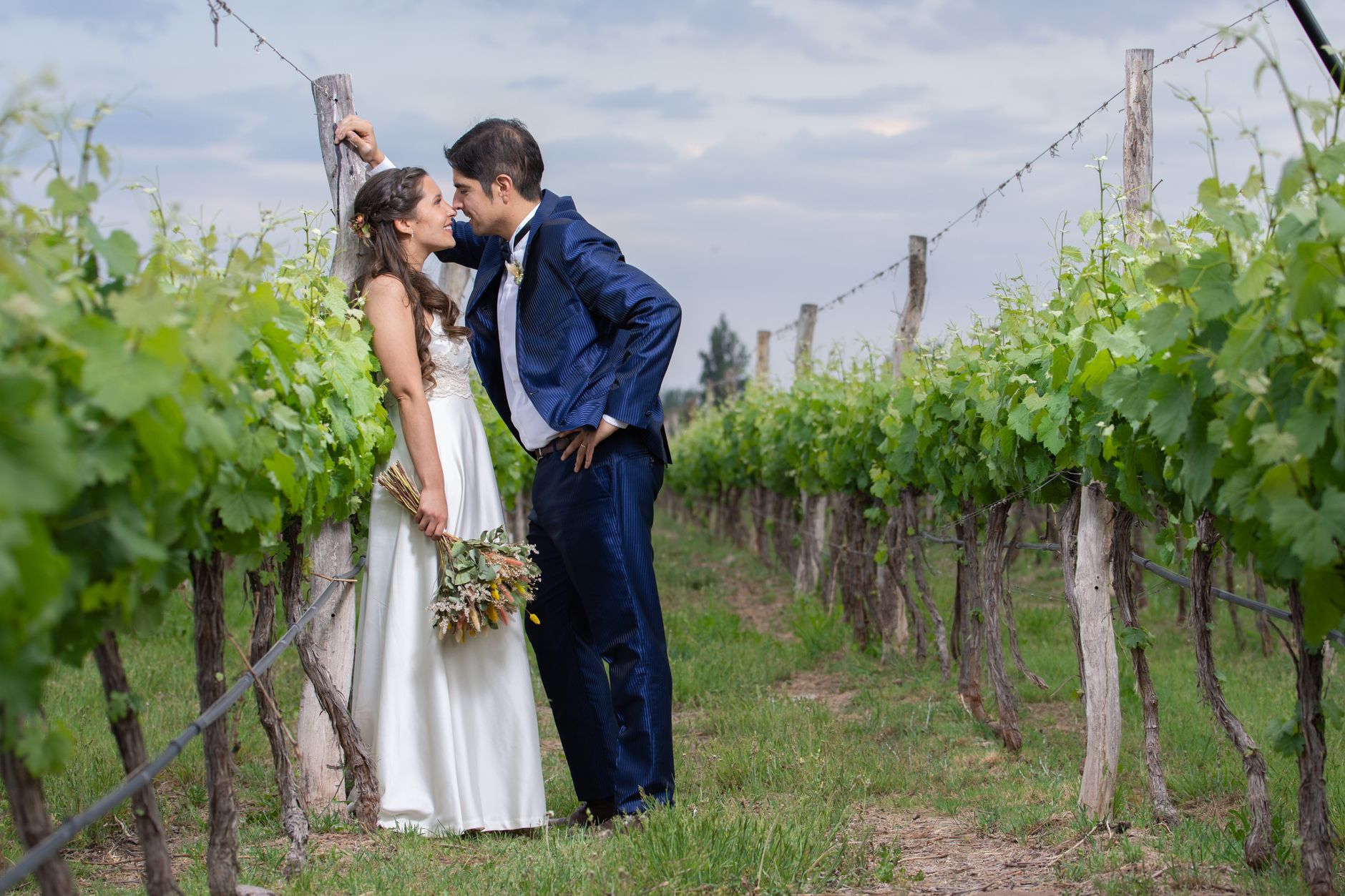 Bride and groom in vineyard romantic