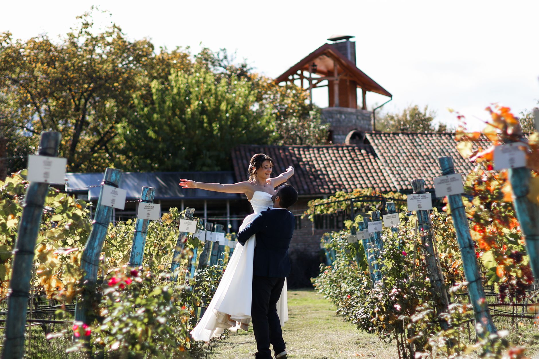 Bride groom vineyard sunny wedding